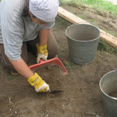 Fouilles sur le site de la Maison LeBer-LeMoyne à Lachine